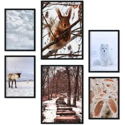 POSTER Set Mit 6 Tiere Im Schnee A3 & A4 Schwarzer Rahmen