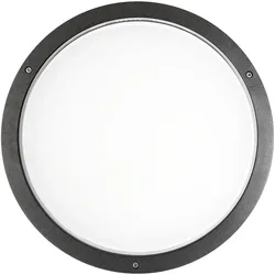 Performance in Light LED-Wand-u.Deckenleuchte 304258