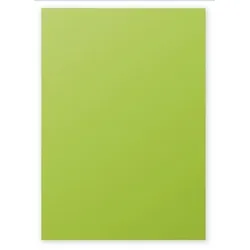 Clairefontaine Farbiges Papier A4 120g Minze 50 Blatt