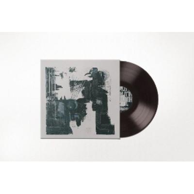 Something Deeply Hidden (LP) - Poly-Math, Vinyl