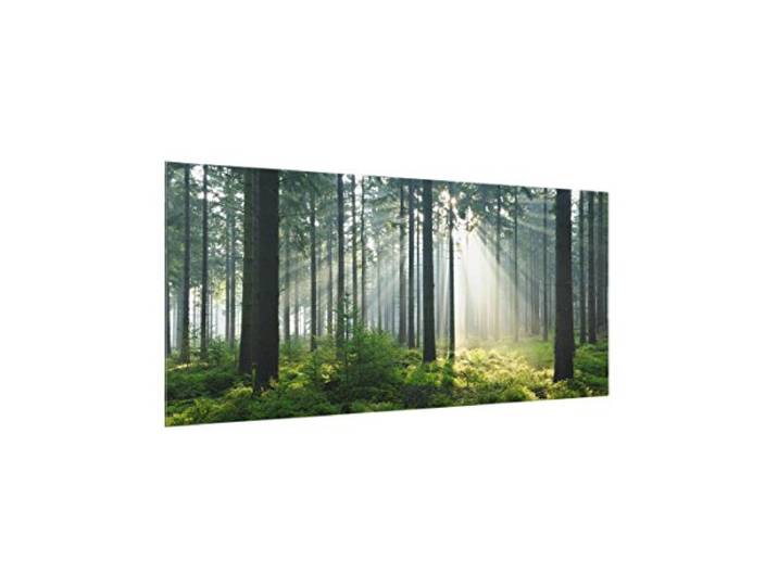 Bilderwelten Küchen-Spritzschutz 59 x 120 cm Enlightened Forest Wald Wiesen Natur Rückwand