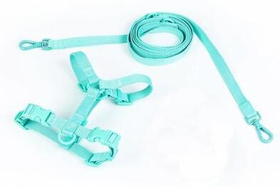 Uplifted Finds Macaron Series Dual Head Designer Harness & Leash Set bright Green s