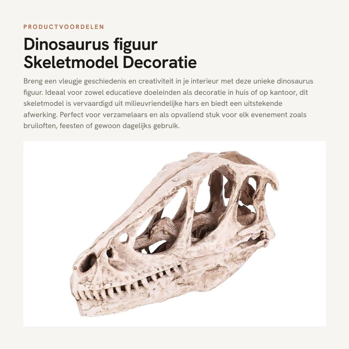 Dailygoods Dinosaurus Figuur - Hars Skeletmodel Decoratie