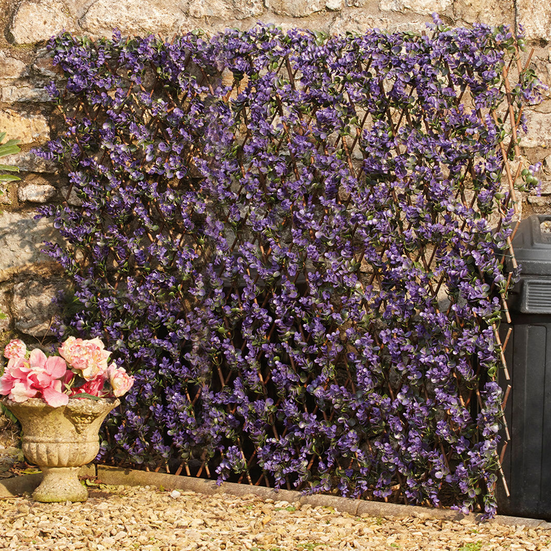 Dakota Fields Talarico Lavender Wood Expanding Trellis Purple 100cm H X 200cm W X 1cm D