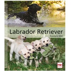 Labrador Retriever, Ratgeber von Rosemarie Wild