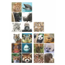 WWF Memo-Spiel "Selfies"