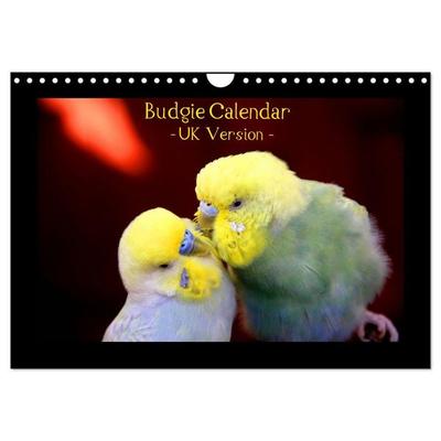 Budgie Calendar - UK Version (Wall Calendar 2027 DIN A4 landscape), CALVENDO 12 Month Wall Calendar