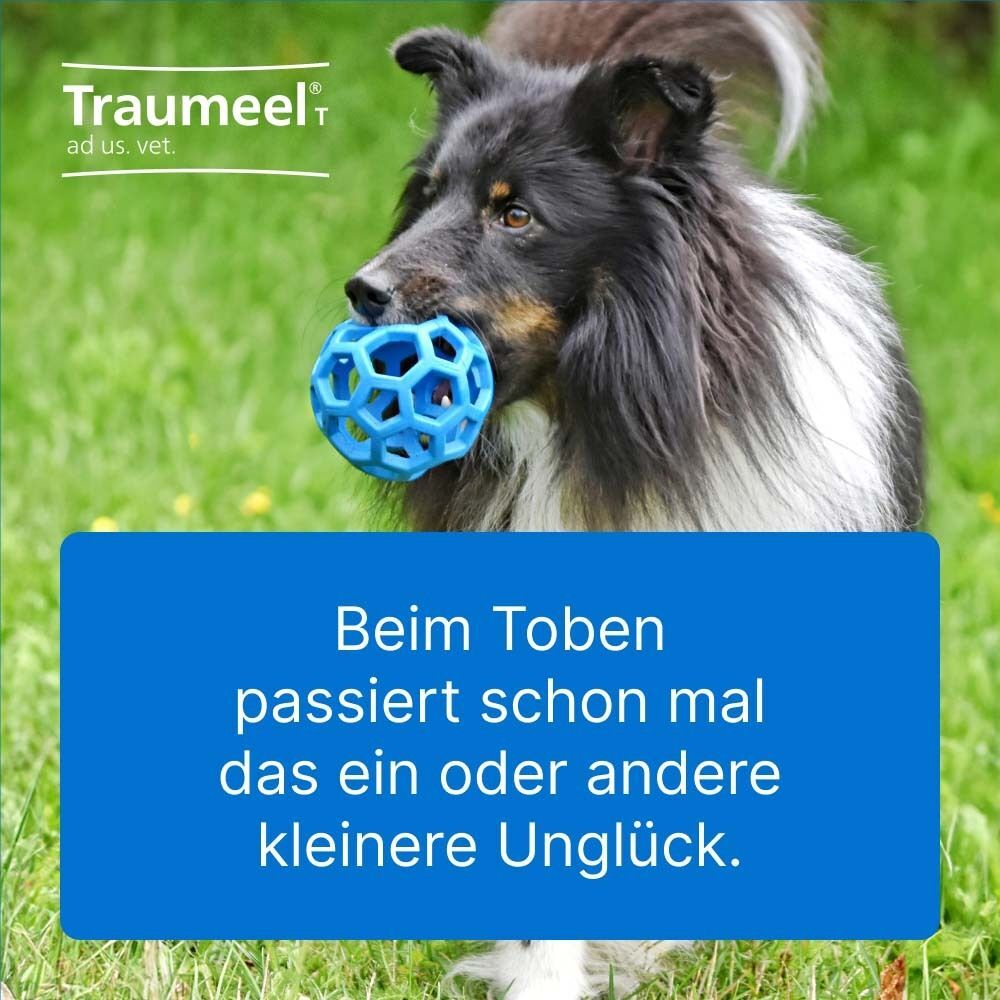 Traumeel VET Traumeel T ad us.vet.Tabletten 500 St Tabletten