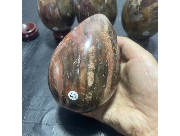 Pierre de bois dinosaure oeuf cristal Quartz naturel pierre minéraux décor à la maison Reiki guérison cristal énergie artisanat cadeau avec support