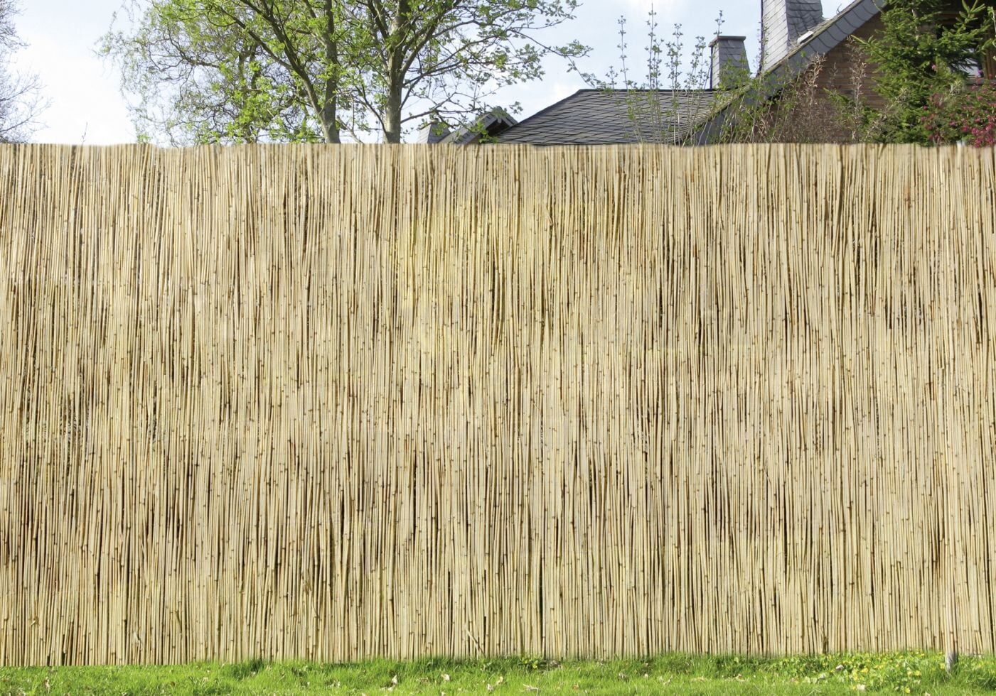 Weitere Schilfrohrmatte 6 x 1 m