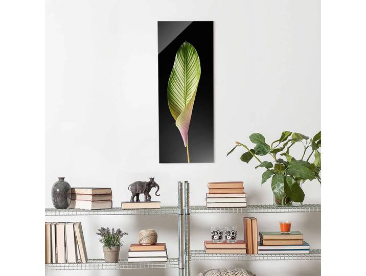 Tableau en verre Calathea-ornata Matériau : Verre Motif : Avec motif Motif : Arbres, plantes & nature Type de verre : Verre de sécurité