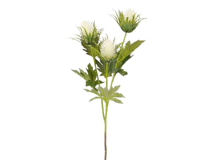 Distel