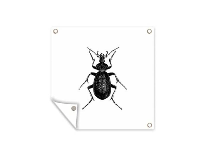 Tuinposter - 200x200 cm - Zwart wit - Kever - Vintage - Insecten