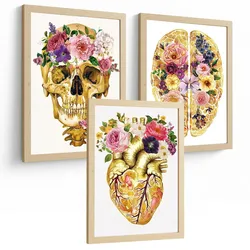 POSTER Set aus 3 Anatomie Mensch Drucke und Wandbilder mit Schädel Gehirn und Herz Goldene Florale Künstlerische Illustration Größe Rahmenlos A3