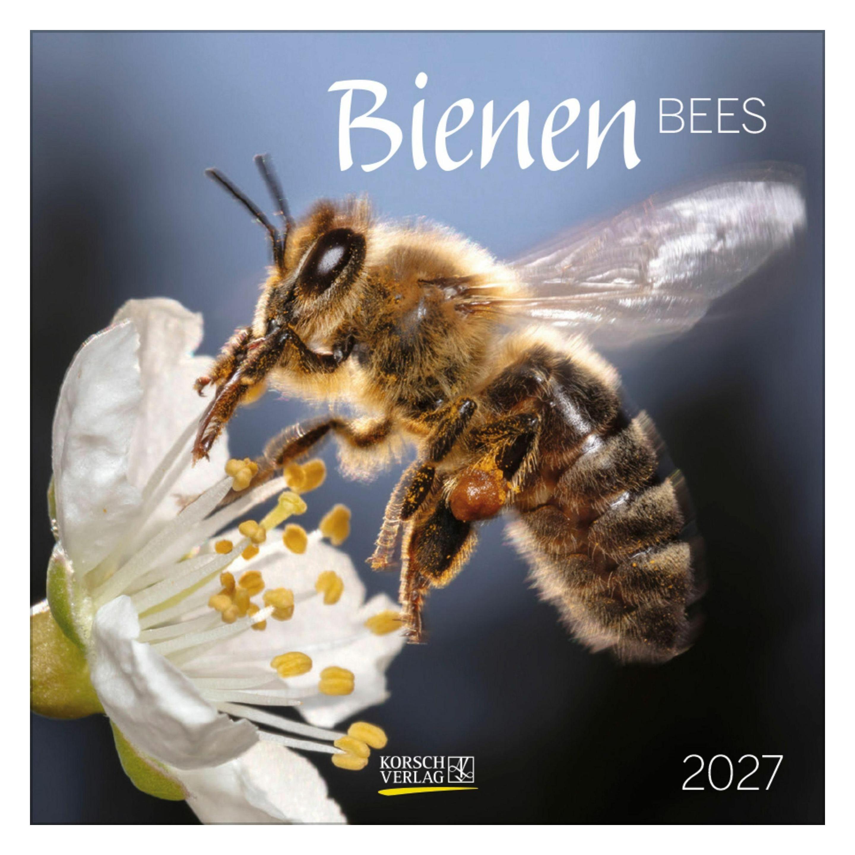 Korsch Bienen 2027 (69924864)