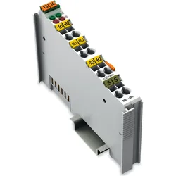 Wago Analog Eingang 2 Kanal FOR RTDS, Automatisierung