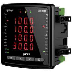 ENTES EMR Digitales Einbaumessgerät EMR-53