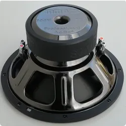  Pro 12 