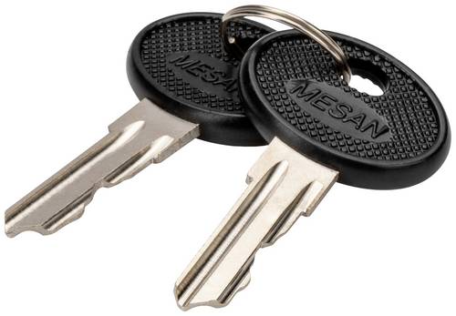 Digitus DN-19-KEY-4444 19 Zoll Netzwerkschrank-Schlüssel Schwarz, Silber