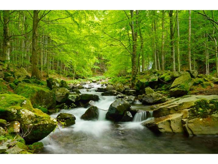 Fototapete PAPERMOON Soft Water Stream , bunt, B:1,5m L:1,11m, Vlies, Tapeten, Fototapete