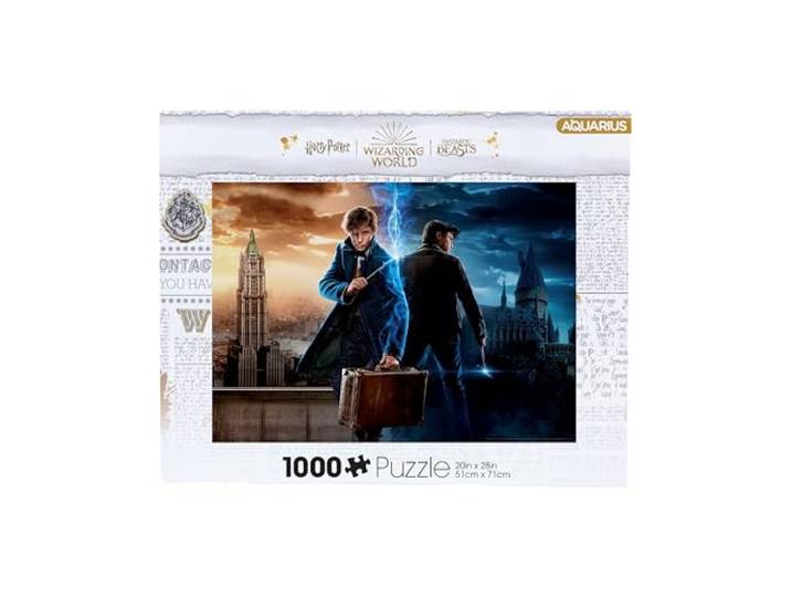 Aquarius 65455 Harry Potter Zauberwelt 1000 Teile Puzzle, Mehrfarbig