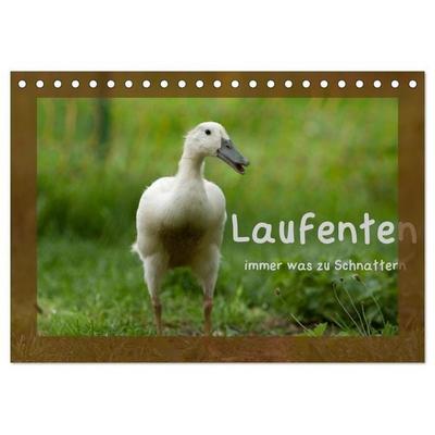 Laufenten immer was zu Schnattern (Tischkalender 2026 DIN A5 quer), CALVENDO Monatskalender