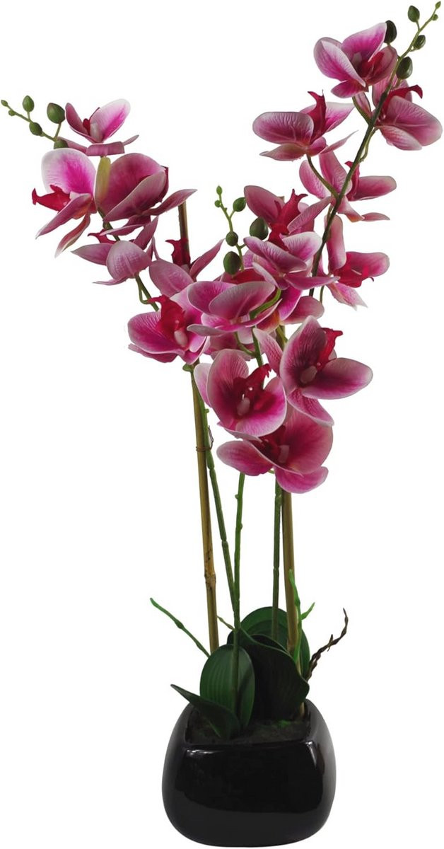 Kunstmatige Orchidee Donkerroze en Zwart - Hoogte: 70 cm