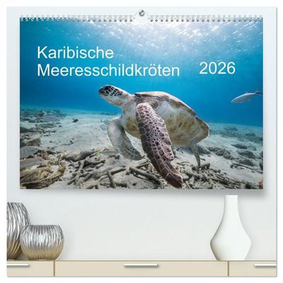 Karibische Meeresschildkröten (hochwertiger Premium Wandkalender 2026 DIN A2 quer), Kunstdruck in Hochglanz