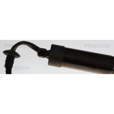 TRISCAN 8710 38301 für Citroën