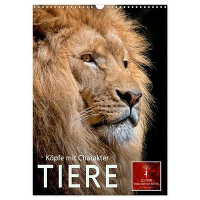 Tiere - Köpfe mit Charakter (Wandkalender 2026 DIN A3 hoch), CALVENDO Monatskalender