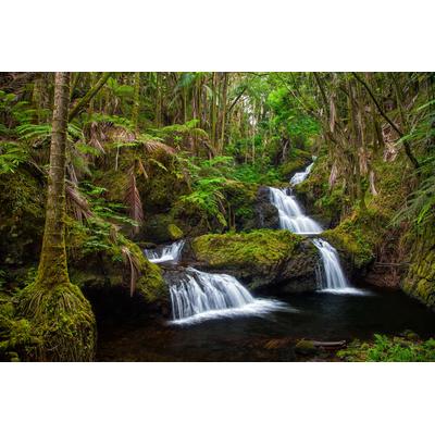 Fototapete PAPERMOON "WASSERFALL-MAGISCHER WALD BÄUME FLUSS SEE STEINE BLUMEN", bunt, B:3,5m L:2,6m, Vlies, Tapeten