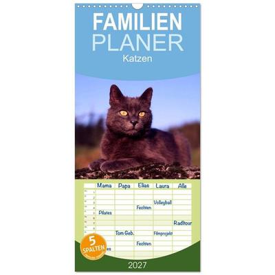 Familienplaner 2027 - Katzen mit 5 Spalten (Wandkalender, 21 x 45 cm) CALVENDO