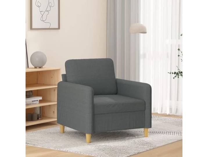 HEFZGDB Dunkelgrauer Sessel 60 cm Stoff Bezug Atmungsaktiv Langlebig Robustes Metallgestell Gepolsterte Sitzfläche Armlehnen Modernes Design Gemütlich Wohnzimmer Entspannung