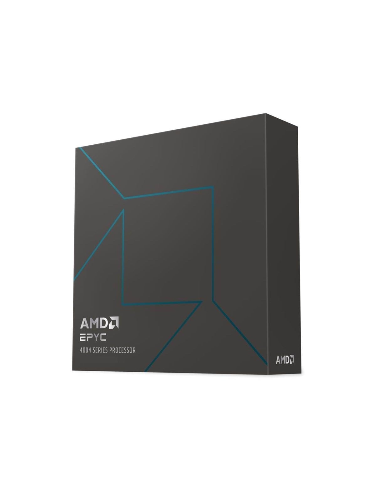 AMD EPYC 4564P CPU - 16 Kerne - 4.5 GHz - AMD AM5 - AMD Boxed (ohne Kühler)