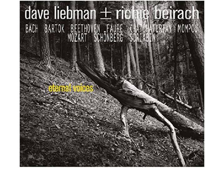 Dave Liebman & Richie Beirach - Eternal Voices