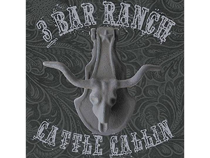 Hank 3 - Cattle Callin'