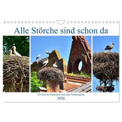 Alle Störche sind schon da - Ein Dorf in Ostpreußen und seine Sommergäste (Wandkalender 2026 DIN A4 quer), CALVENDO Monatskalender