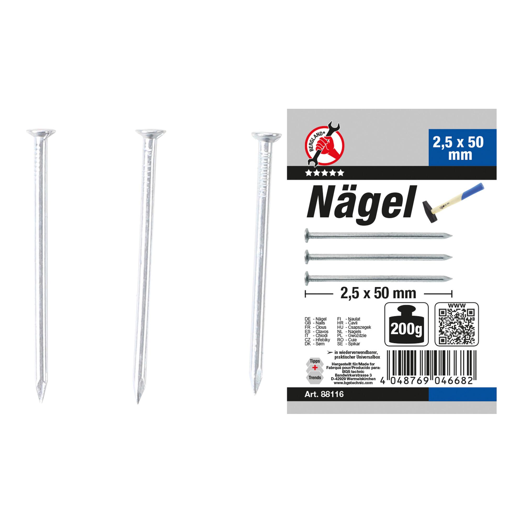 BGS Do it yourself Nägel-Sortiment 88116, 200 g, 2,5 x 50 mm)