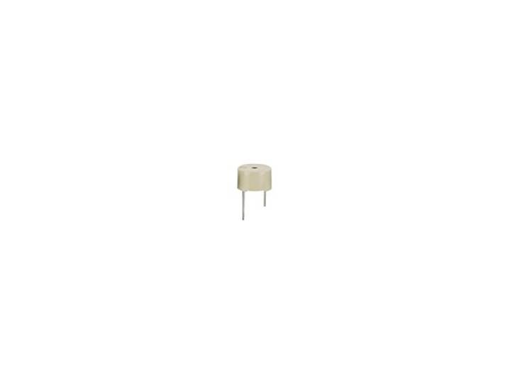 Micro Buzzer Voor Printmontage 12vdc - Verzegeld