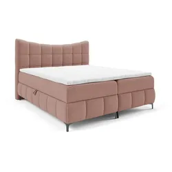 BOXBETT Charles In Aragon