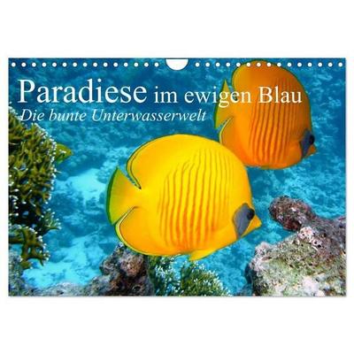 Paradiese im ewigen Blau. Die bunte Unterwasserwelt (Wandkalender 2027 DIN A4 quer), CALVENDO Monatskalender