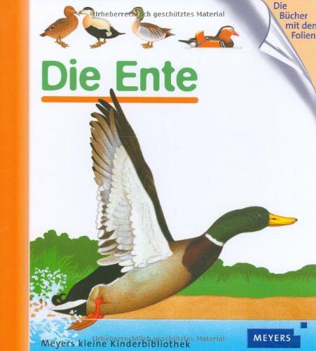 Gallimard Jeunesse - Die Ente - Preis vom 18.10.2026 15:28:09 h