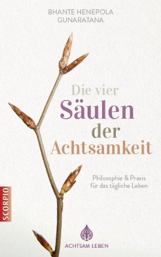 Gunaratana, Bhante Henepola - Die vier Säulen der Achtsamkeit: Philosophie & Praxis für das tägliche Leben - Preis vom 09.10.2026 07:28:09 h