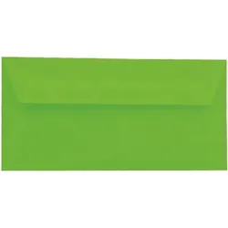 Clairefontaine Farbiger Umschlag DL 120g/qm HK Minze 20 Stück