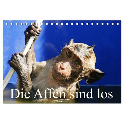 Die Affen sind los (Tischkalender 2027 DIN A5 quer), CALVENDO Monatskalender