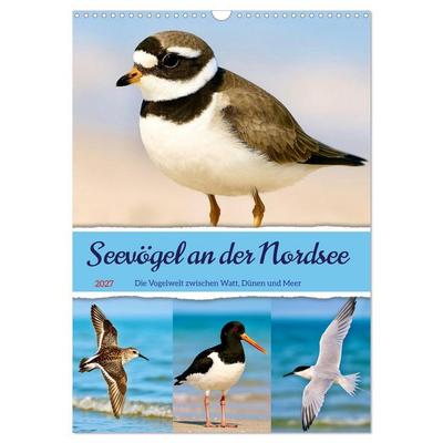 Seevögel an der Nordsee (Wandkalender 2027 DIN A3 hoch), CALVENDO Monatskalender
