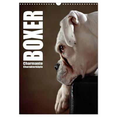 Boxer - Charmante Charakterköpfe (Wandkalender 2026 DIN A3 hoch), CALVENDO Monatskalender