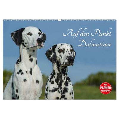 Auf den Punkt - Dalmatiner (Wandkalender 2027 DIN A2 quer), CALVENDO Monatskalender