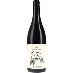 Pinot Noir Dachs Klaus Vorgrimmler 2022 BIO