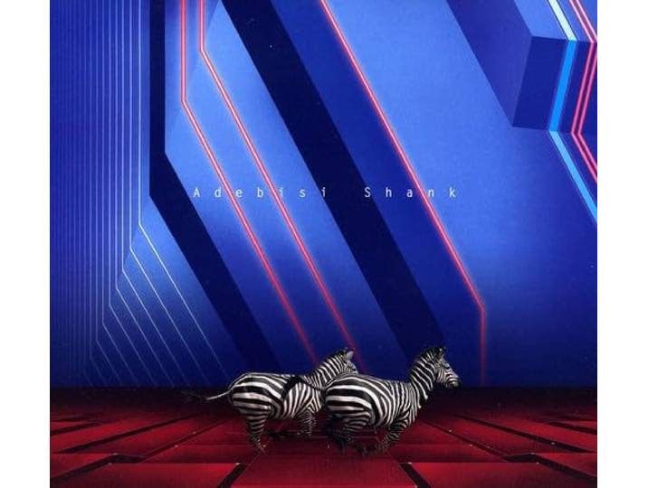 Adebisi Shank - This Is The Second Album Of...